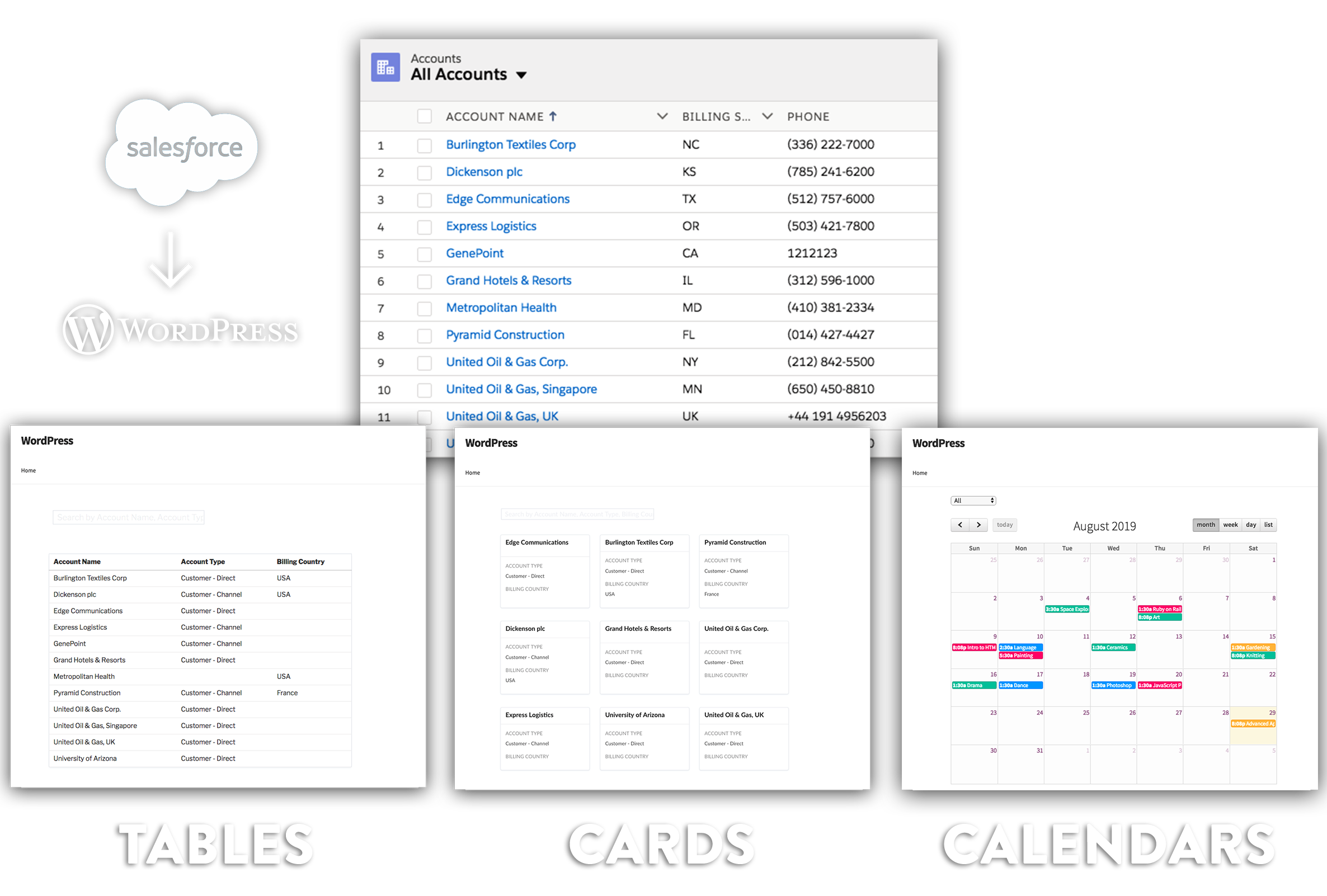 Salesforce in WordPress
